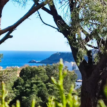 Family With Incredible Ocean Views Holiday home *